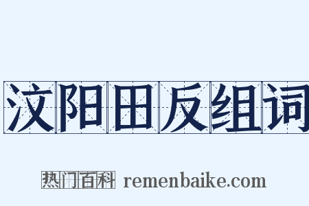 汶阳田反组词是什么意思的图片